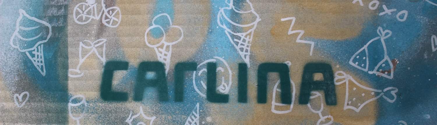cortina,carlina,karlien,art,kunst,design
